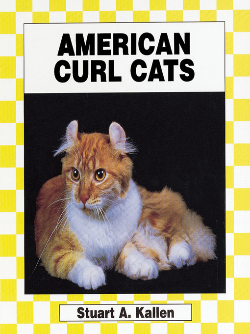 Cover image for American Curl